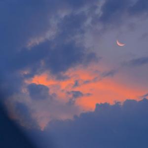 欧美成人午夜免费A片
