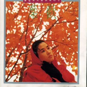 欧美成人午夜免费A片
